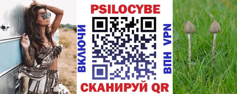 ссылка на мегу сайт  Щёлкино  Псилоцибиновые грибы GOLDEN TEACHER  наркошоп 